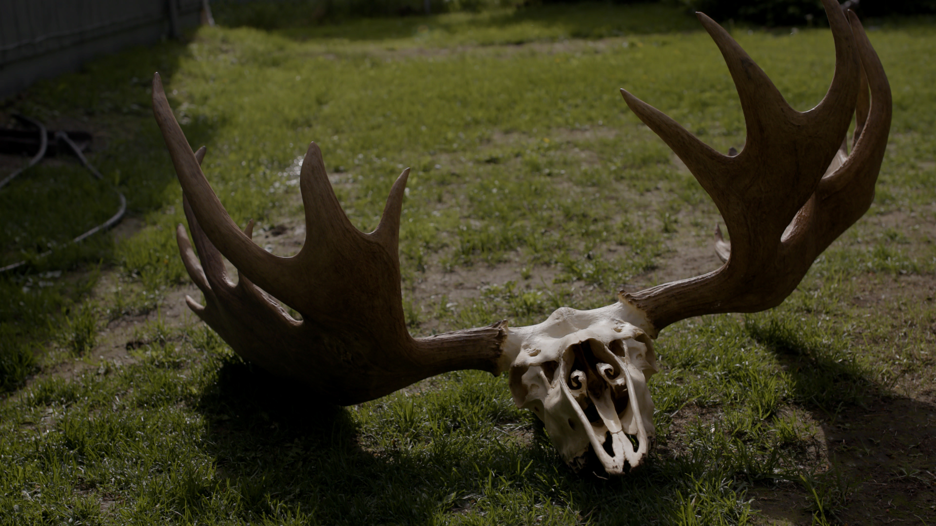 A Piece of Myself still 4